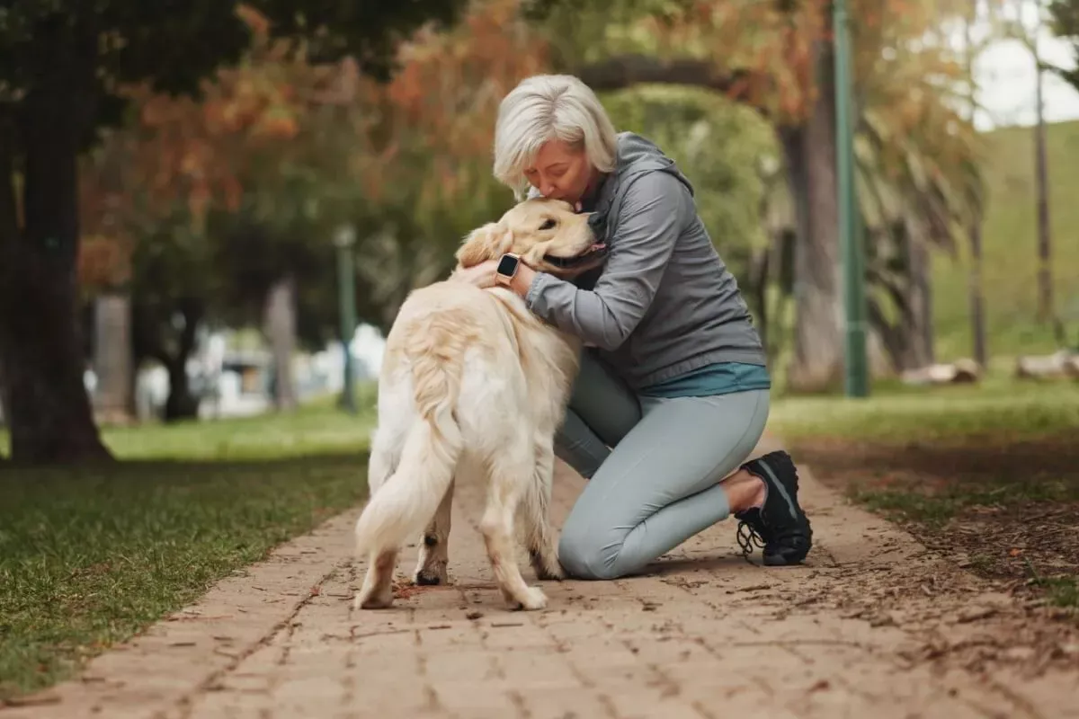 5 dicas para melhorar a comunicação com o seu cão