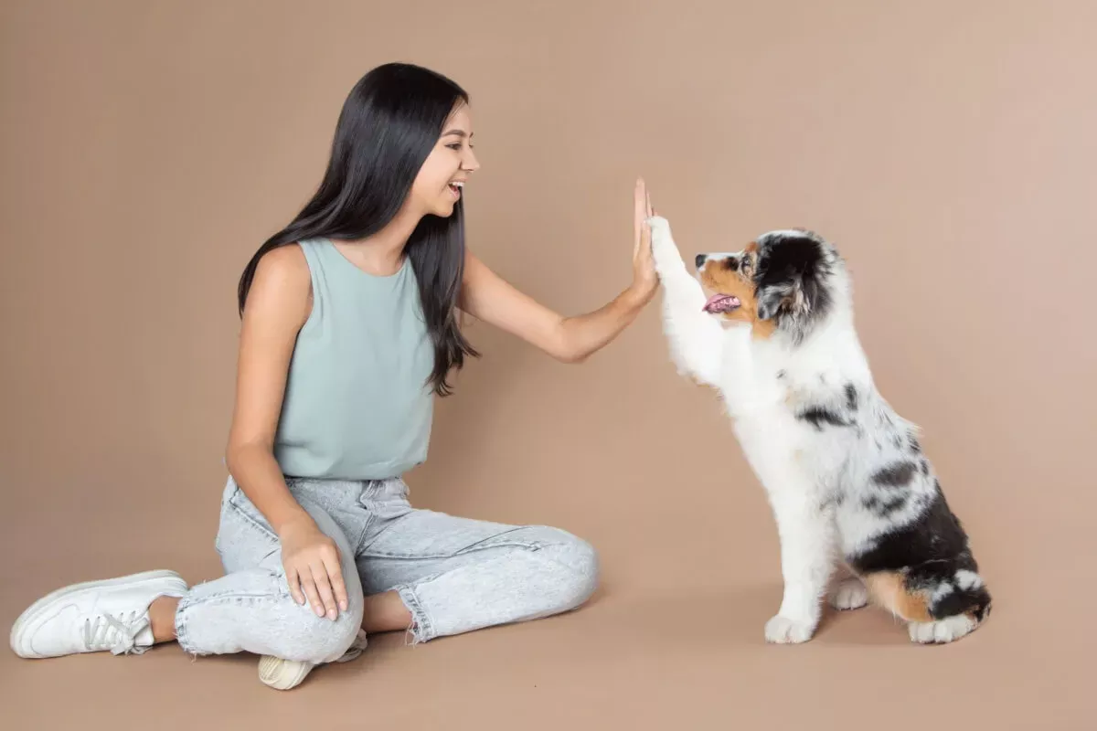 8 dicas práticas para estimular a inteligência do seu cachorro