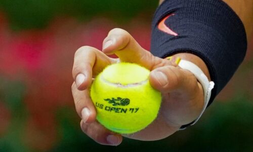 Rybakina vs. Tereza Valentova Prediction, Odds to Win Australian Open