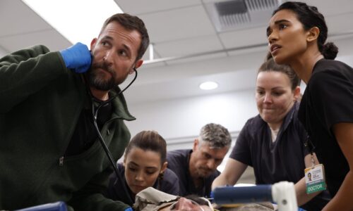 When does ‘The Pitt’ season 2 drop to HBO Max? Schedule, cast, more