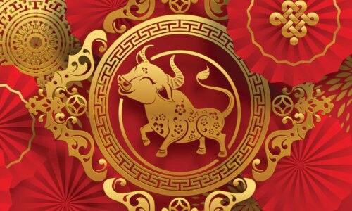 Veja as características do signo do Búfalo no Horóscopo Chinês