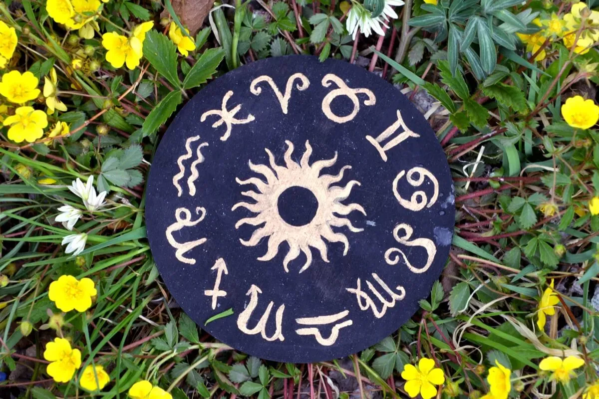 Da lavanda ao girassol: veja qual planta cada signo deve ter em casa