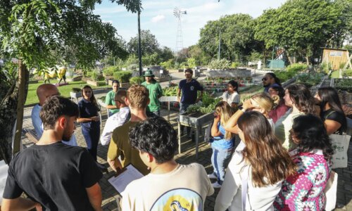 Fazendas Urbanas de Curitiba oferecem cursos gratuitos em fevereiro