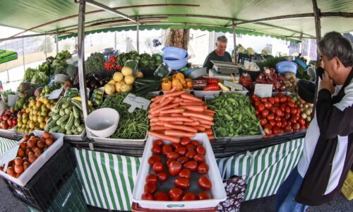 Feiras livres e orgânicas acontecem em 18 pontos de Curitiba neste sábado