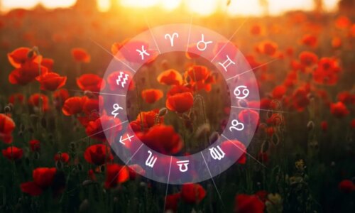Horóscopo do dia: previsão para os 12 signos em 31/01/2026