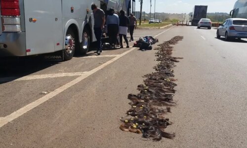PRF flagra contrabando de cabelo e remédio em ônibus no Paraná