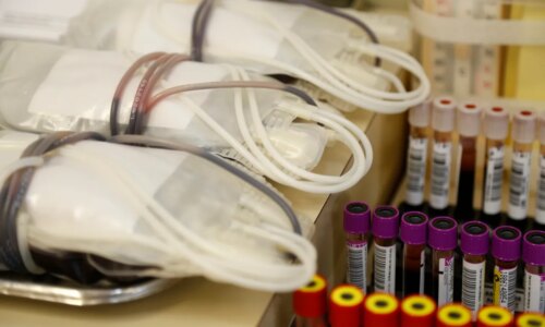 Projeto quer converter multas em doação de sangue em Curitiba