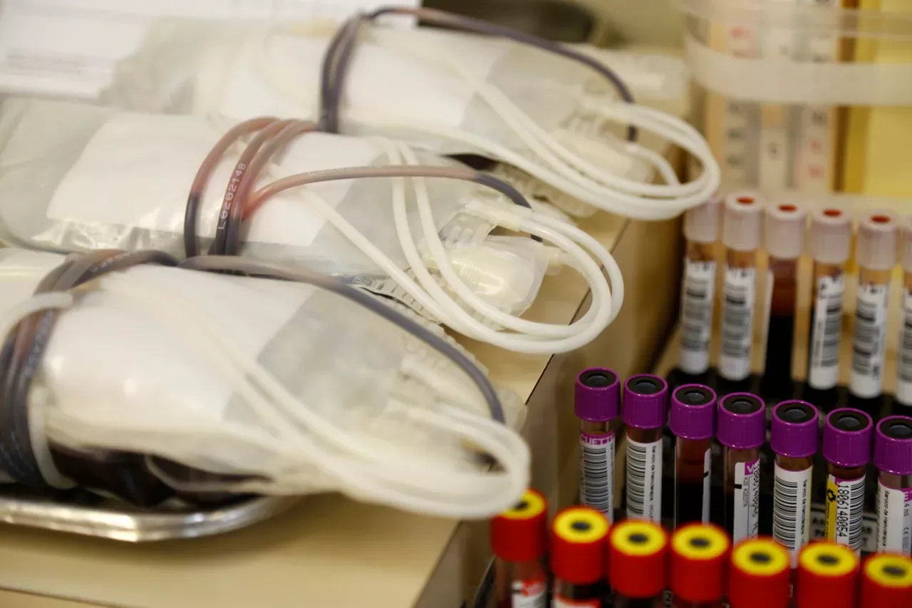 Projeto quer converter multas em doação de sangue em Curitiba