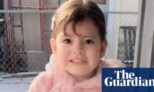 US immigration agents detain two-year-old Minnesota girl: ‘depravity beyond words’ | Minneapolis