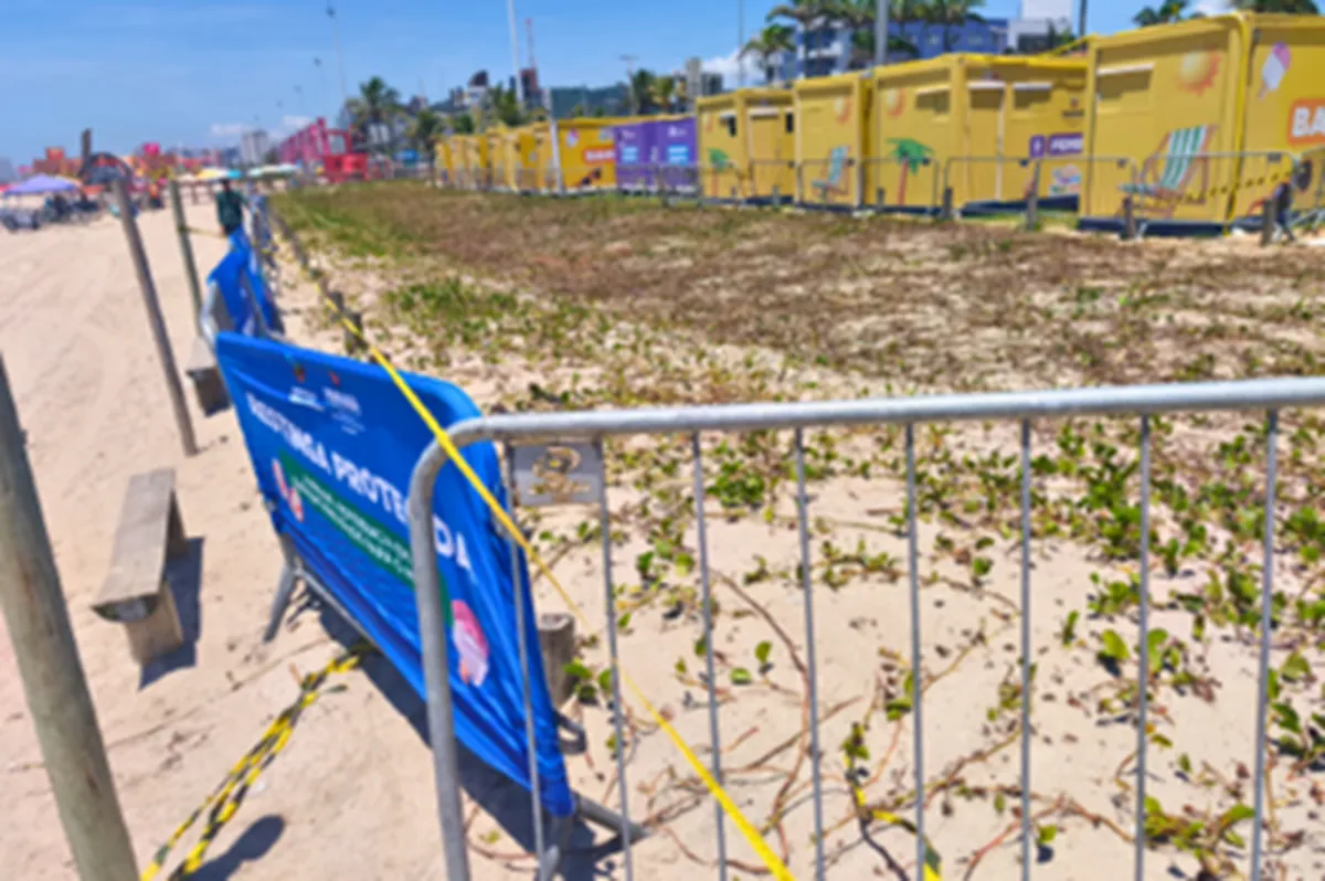 Vegetação de restinga em Matinhos é danificada durante shows