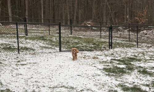 Wintry precipitation pays the Chattanooga area a visit Saturday