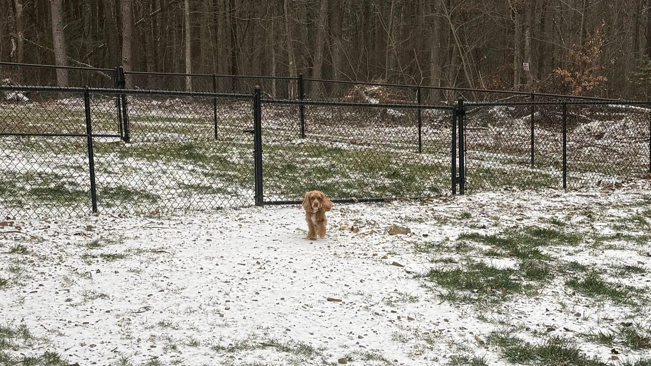 Wintry precipitation pays the Chattanooga area a visit Saturday