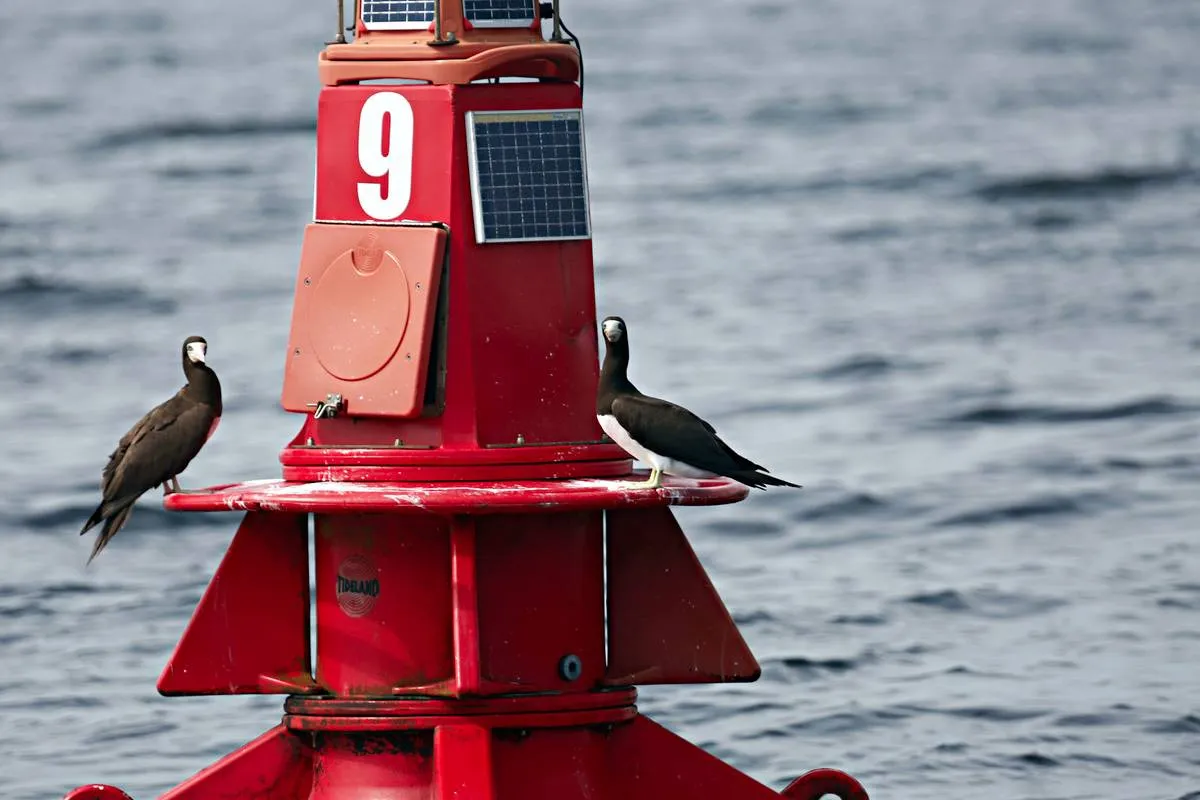 Pouca gente sabe, mas esta ilha paradisíaca perto de Curitiba terá novo acesso