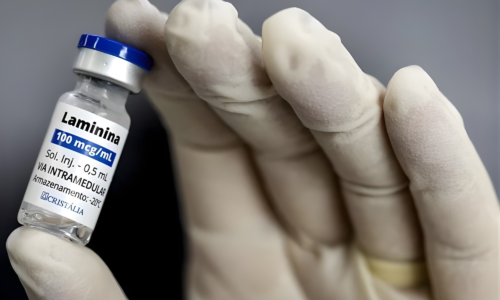 liberada para estudo, droga pode ser totalmente produzida no país