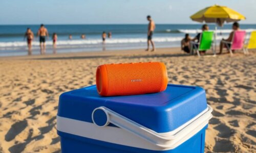 Caixinha de som na Praia é perturbação de sossego? Entenda o que é regra