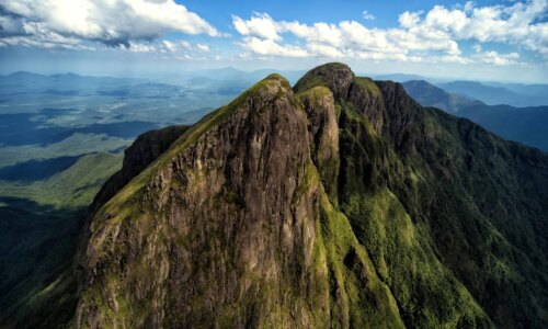 alertas que você precisa saber