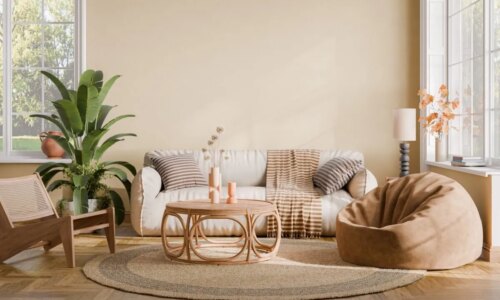 5 dicas para usar plantas na decoração da casa