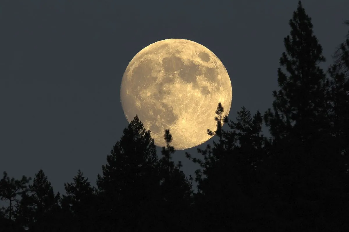 Lua Cheia de Perigeu deste sábado é primeira Superlua de 2026