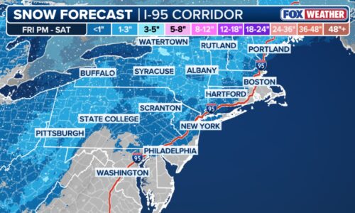 Here’s how much snow NY, NJ should expect this weekend