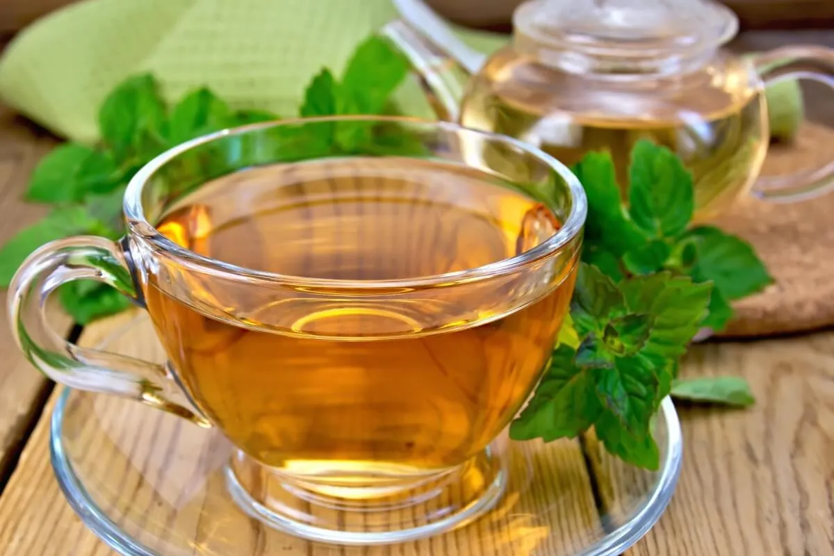 8 soluções naturais para melhorar a digestão e reduzir desconfortos