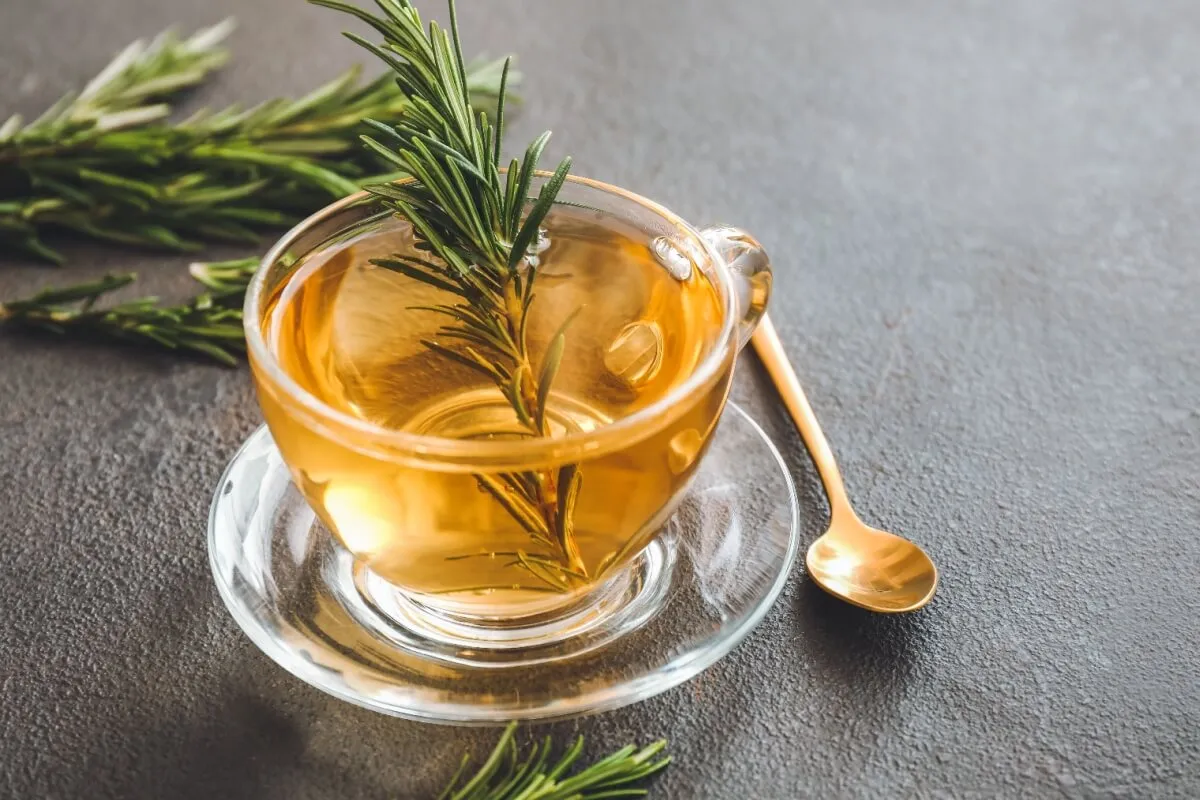 Benefícios do chá de alecrim: 6 receitas para melhorar a saúde