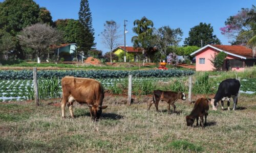 CEP Rural vai criar endereço digital para propriedades no Paraná