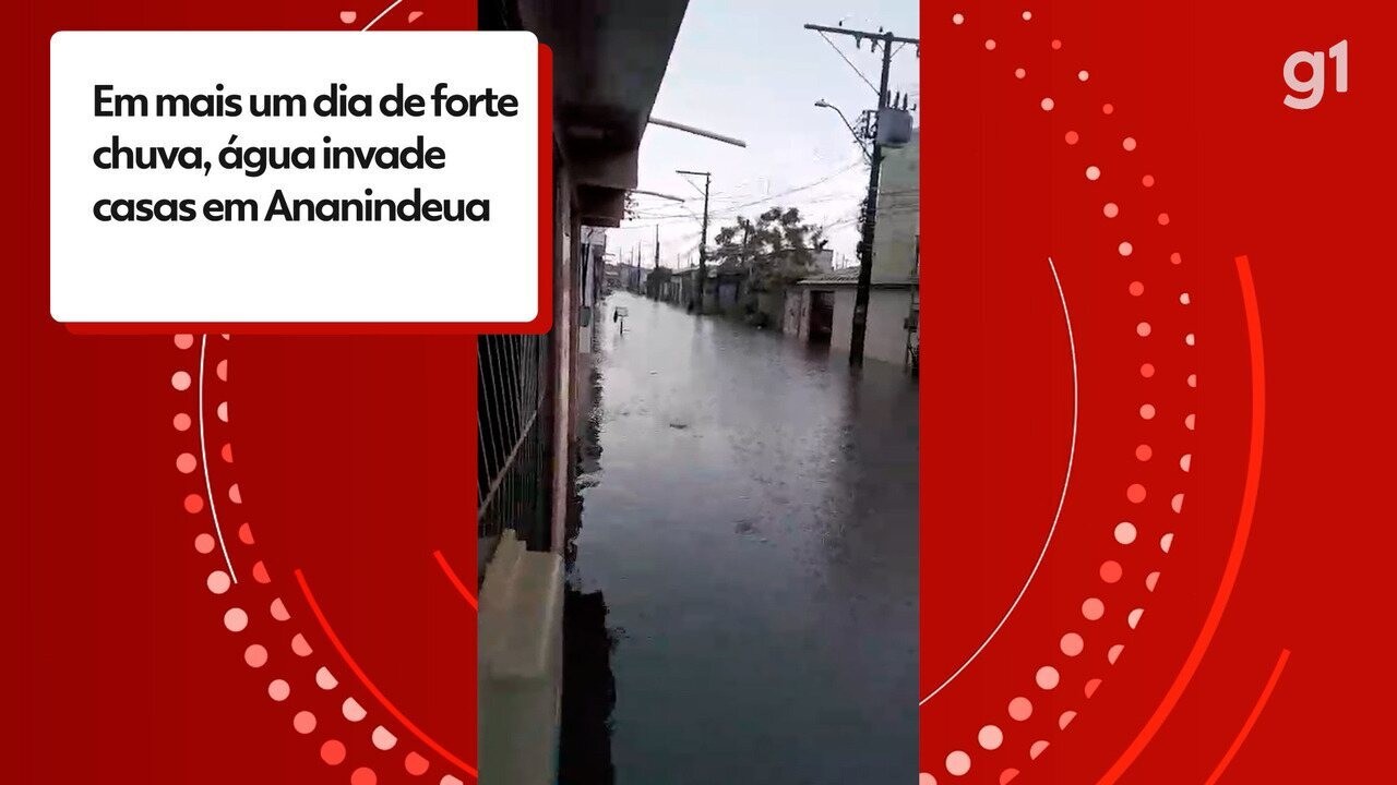 Chuva na Grande Belém: casas e animais são atingidos por alagamentos