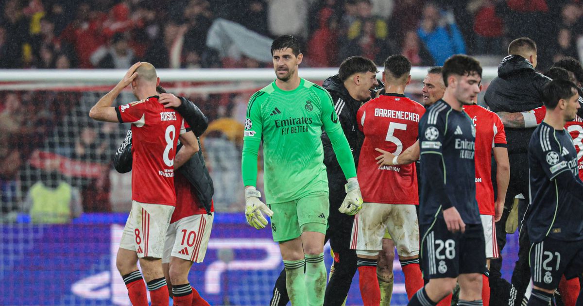 Courtois confiante em conseguir um bom resultado no regresso à Luz