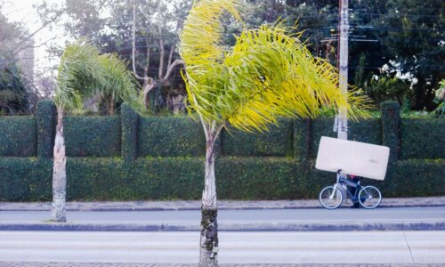 Curitiba com ventos neste domingo; Paraná com rajada de 77km/h