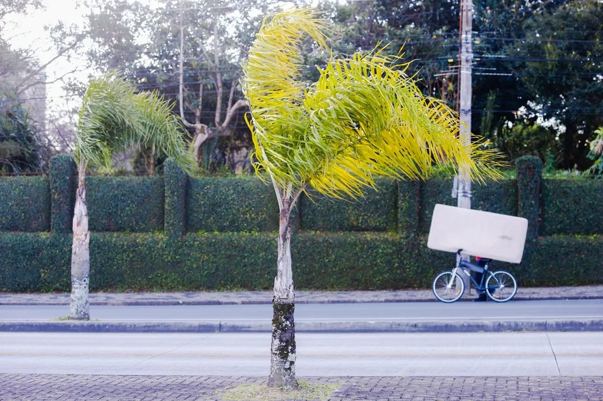 Curitiba com ventos neste domingo; Paraná com rajada de 77km/h
