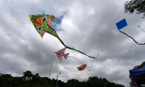 Curitiba pode ter nova lei sobre empinar pipa