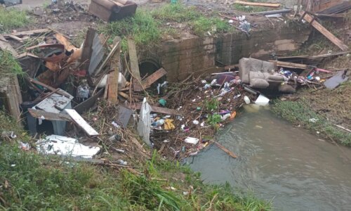 Curitiba recolhe 435 toneladas de resíduos após temporal