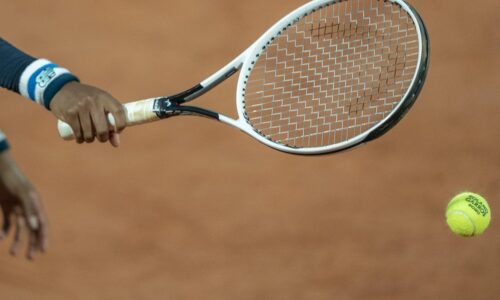 Gea vs. Tomas Machac Prediction, Odds to Win Open Sud de France