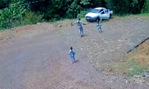 Gêmeos pulam de carro em movimento antes de queda no Paraná