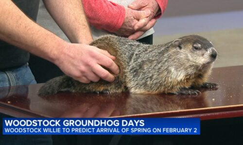 Groundhog Day 2026: Did Woodstock Willie see his shadow on Groundhog Day?