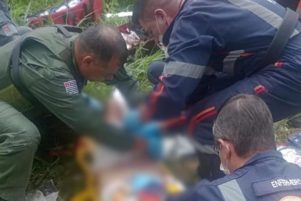 Idosa tem três membros amputados após ataque de pitbulls