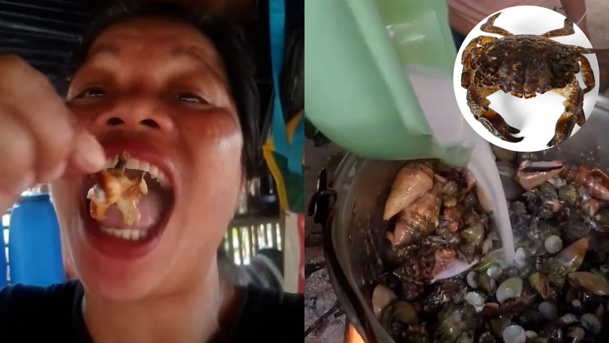 Influenciadora de comida morre nas Filipinas após consumir caranguejo tóxico para vídeo