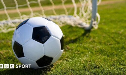 Torino vs Sassuolo: Italian Serie A stats & head-to-head