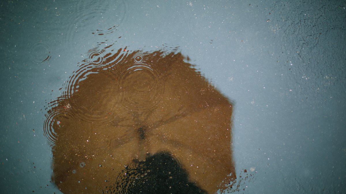 Light showers, chances of thundestorms and gusty winds – NBC 7 San Diego