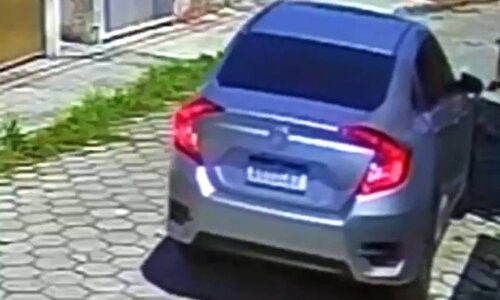 Monstro! Homem é preso por atropelar cão e fugir sem prestar socorro no Paraná