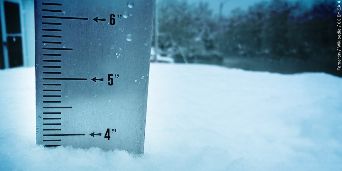 Snowfall totals: February 19-20, 2026