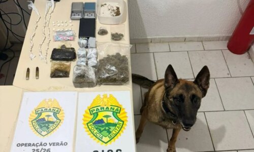 Supermercado da droga é descoberto por cão farejador no Litoral do Paraná
