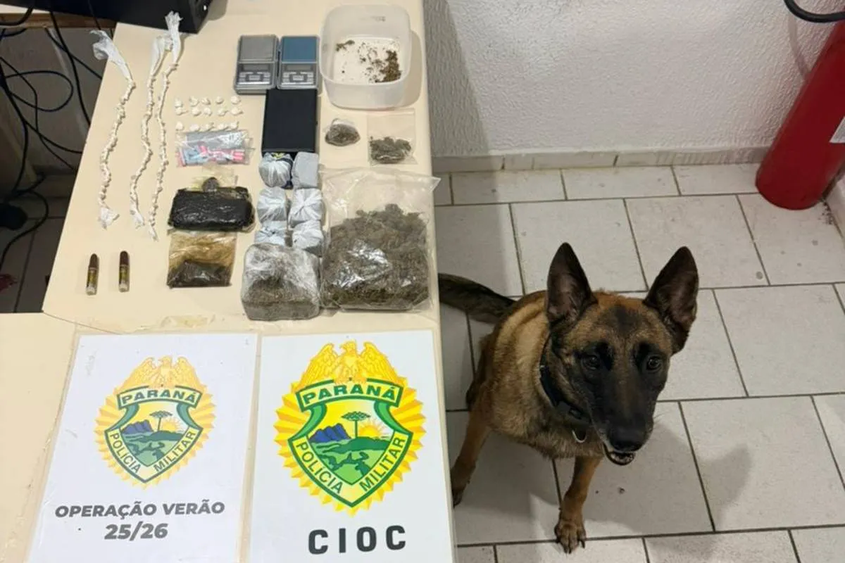 Supermercado da droga é descoberto por cão farejador no Litoral do Paraná