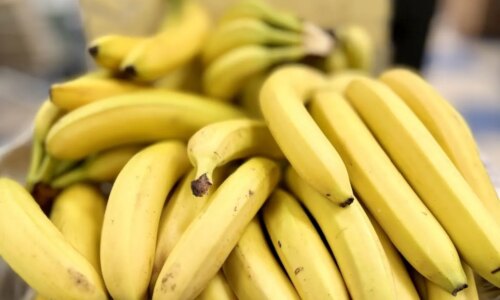 Tipos de banana: conheça 5 variedades e como usá-las em receitas doces e salgadas
