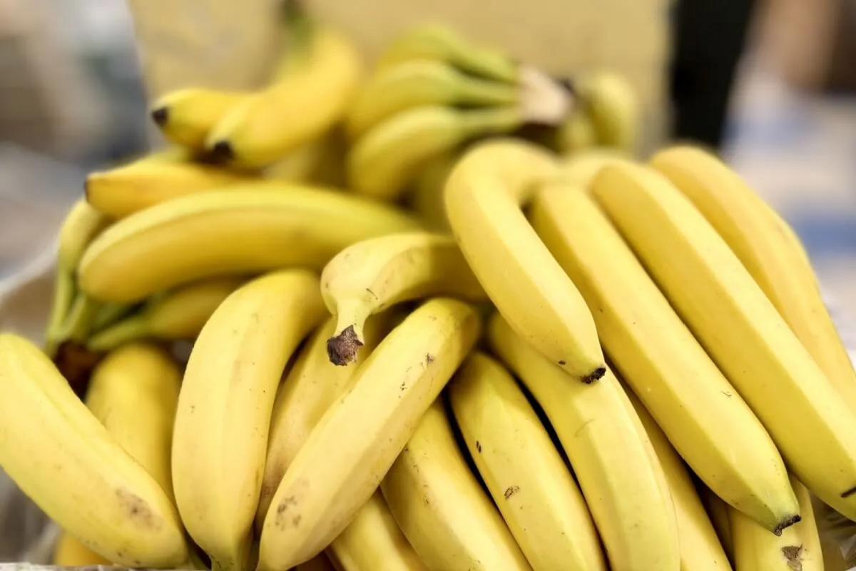 Tipos de banana: conheça 5 variedades e como usá-las em receitas doces e salgadas