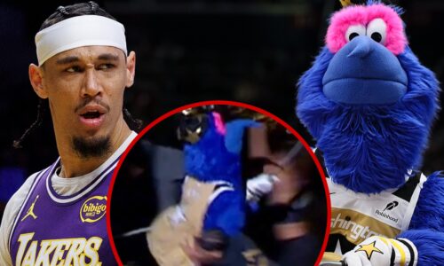 Wizards Mascot Retains Sofia Jamora’s Attorney After Jaxson Hayes Shove