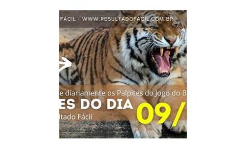 jogo do bicho palpite certeiro
