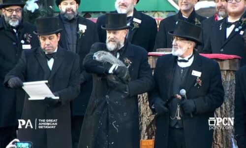¿Qué vio la marmota? Esta fue la predicción invernal de Phil de Punxsutawney