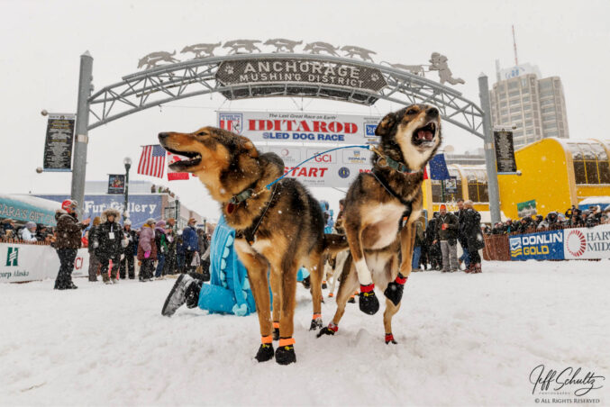 54th Ceremonial Start, Field and Trail – Iditarod