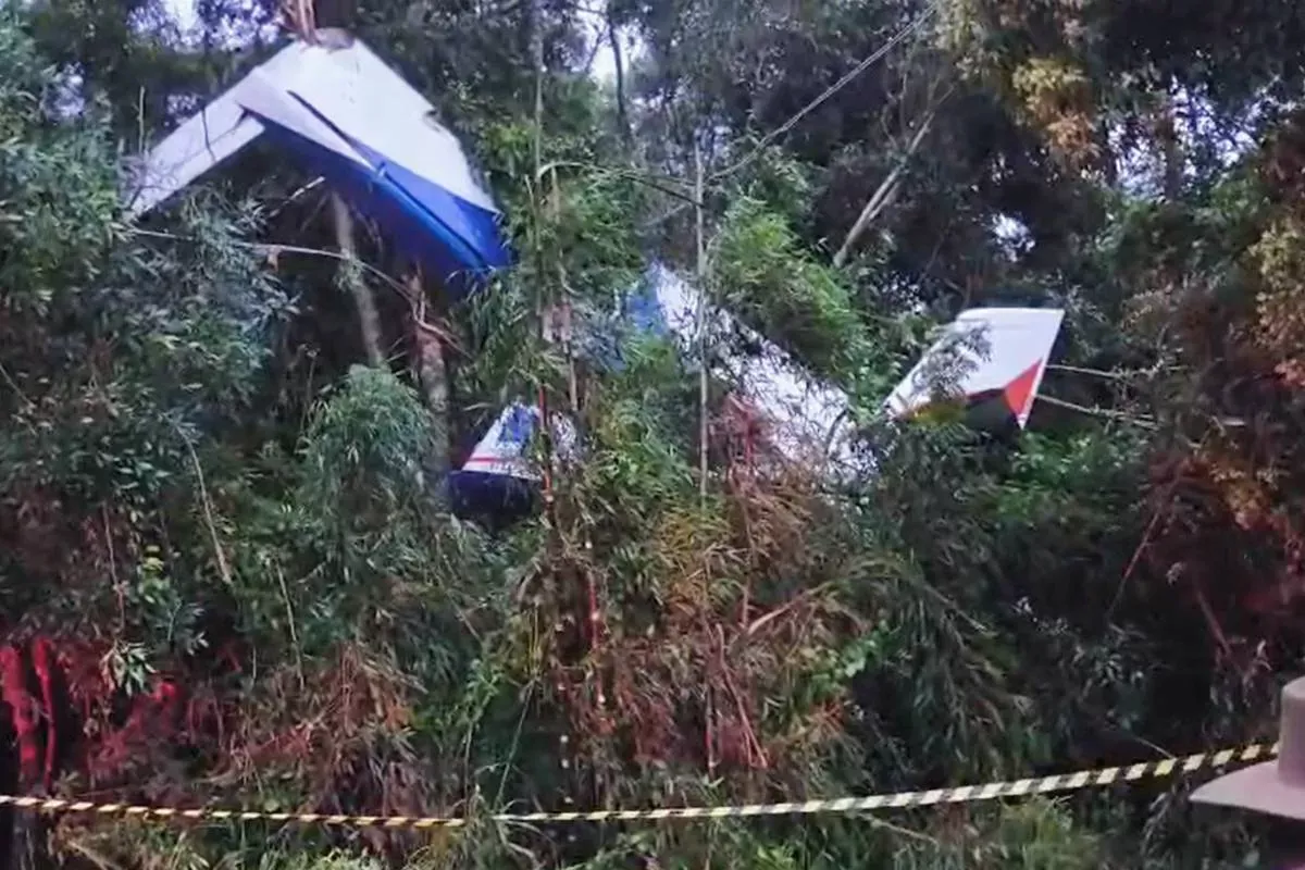 Avião cai no Paraná e piloto morre após atingir rede elétrica em Piên